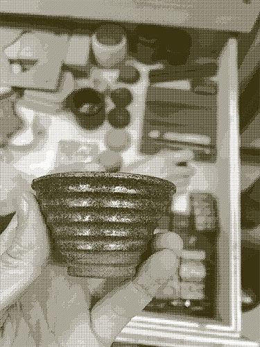 Alt Text